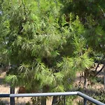 Rastoni Rqd 6 Apartment Arkoudi