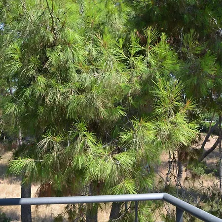 Rastoni Rqd 6 Apartman Arkúdi
